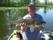 walleye
