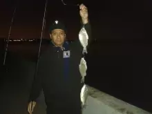Night Fishing at Jubail-Jan 20, 2014
