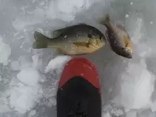 Icefishing