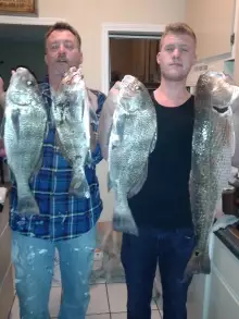 Black Drum