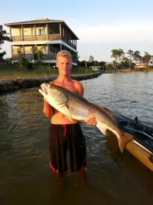 Another Big Bull Red !