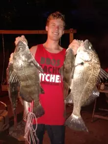 Nice catch of Black Drum