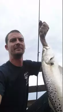 Speckled Trout