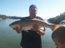 big red fish