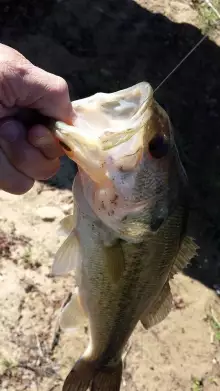 Boone Lake