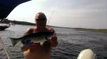 Chuck Nice Bass!