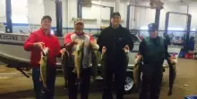 Detroit River Walleye