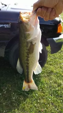 Boone Lake