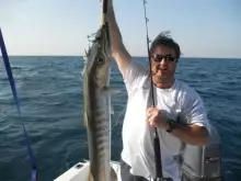 Marks monster