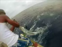 Roatan Anglers Catch and Released