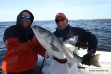 STRIPE BASSING OFF FIRE ISLAND EAST