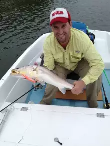 Raul´s corvina on the troll