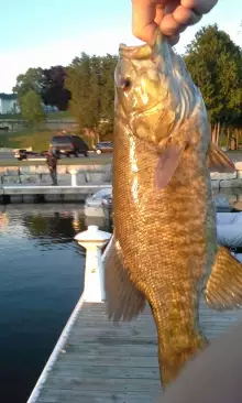 Smallmouth