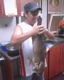 MARINA MALL BREAKWATER FISHING 20JUNE2014