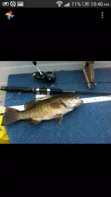 ottawa river bass
