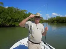 Little guy I go in Florida recently