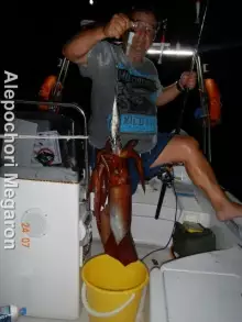 squid at alepochori