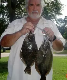 Flounder are in the river