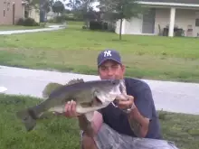 Golf course hog