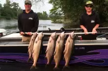 A Great Morning's Catch!