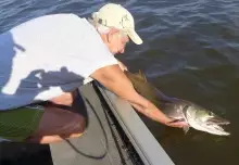 Catch and release works