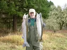 Fly fishing the Alsea in Oregon