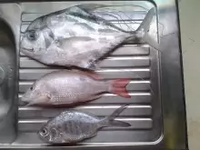 Fishing from Tambladora Park, Chaguaramas, Trinidad - 01st August, 2014