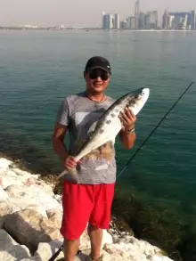 Doha, Corniche