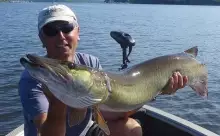 The "Green monster"