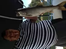 Shuswaps end of Aug 2014