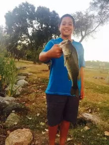 LMB II
