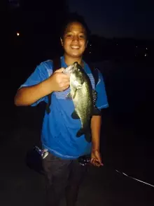 LMB III