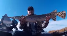 Sometimes strange things happen when Muskie fishing :)