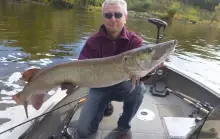 Nice fall Muskie