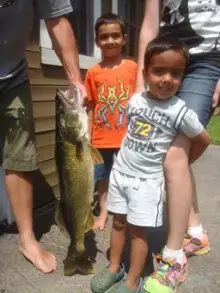Nice Fish