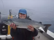 Coho Salmon catch