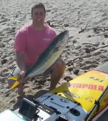 Dewald .... 7.5 kg yellow tail