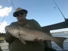 A nice fight