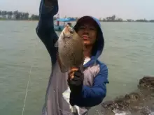 Karang Maheso, Ujung Negoro Tulis, Batang