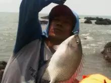 Karang Maheso, Ujung Negoro Tulis, Batang