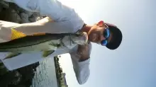 Snook Clearwater FL