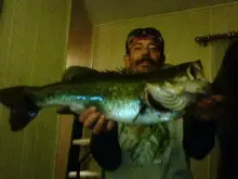 A nice one ...