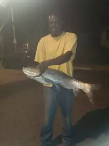 40lb Grass Carp