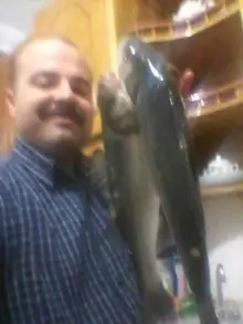 SeaBass on Hook,in RizeCity Turkey