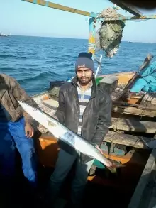 Owais Siddiqui