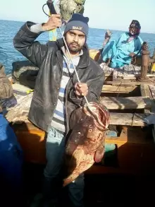 Owais Siddiqui