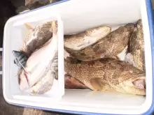 Catch of my Partner Ka Lito