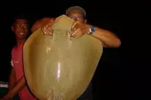 Tanjung Pinang Indonesia