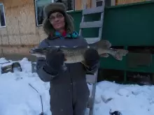 icefishing for whitefish got a pike