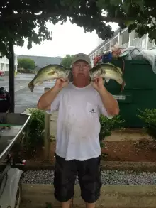 wheeler lake